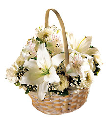 Divinity Basket from Parkway Florist in Pittsburgh PA