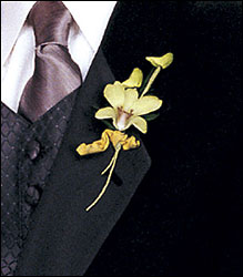 Cat's-Eye Green Orchid Boutonniere from Parkway Florist in Pittsburgh PA