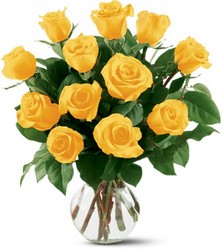 12 Yellow Roses from Parkway Florist in Pittsburgh PA