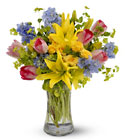 Spring Delight from Parkway Florist in Pittsburgh PA