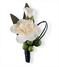 Carnation and Berries Boutonniere from Parkway Florist in Pittsburgh PA