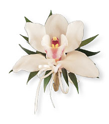 Cymbidium Orchid Corsage from Parkway Florist in Pittsburgh PA