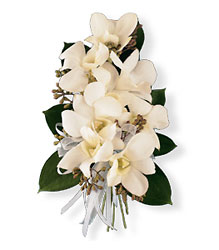 White Dendrobium Corsage from Parkway Florist in Pittsburgh PA
