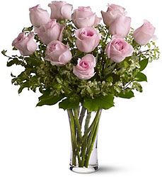 A Dozen Pink Roses from Parkway Florist in Pittsburgh PA