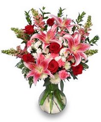 Romantic Thoughts from Parkway Florist in Pittsburgh PA Romantic Thoughts from Parkway Florist in Pittsburgh PA
