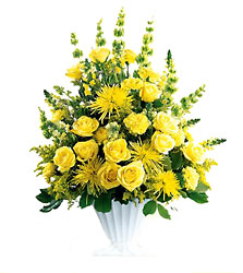 Glowing Ray Arrangement from Parkway Florist in Pittsburgh PA Glowing Ray Arrangement from Parkway Florist in Pittsburgh PA