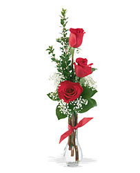 3 Red Roses from Parkway Florist in Pittsburgh PA 3 Red Roses from Parkway Florist in Pittsburgh PA