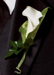 Calla Lily Promise Boutonniere from Parkway Florist in Pittsburgh PA