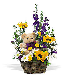 First Baby Bear & Basket from Parkway Florist in Pittsburgh PA